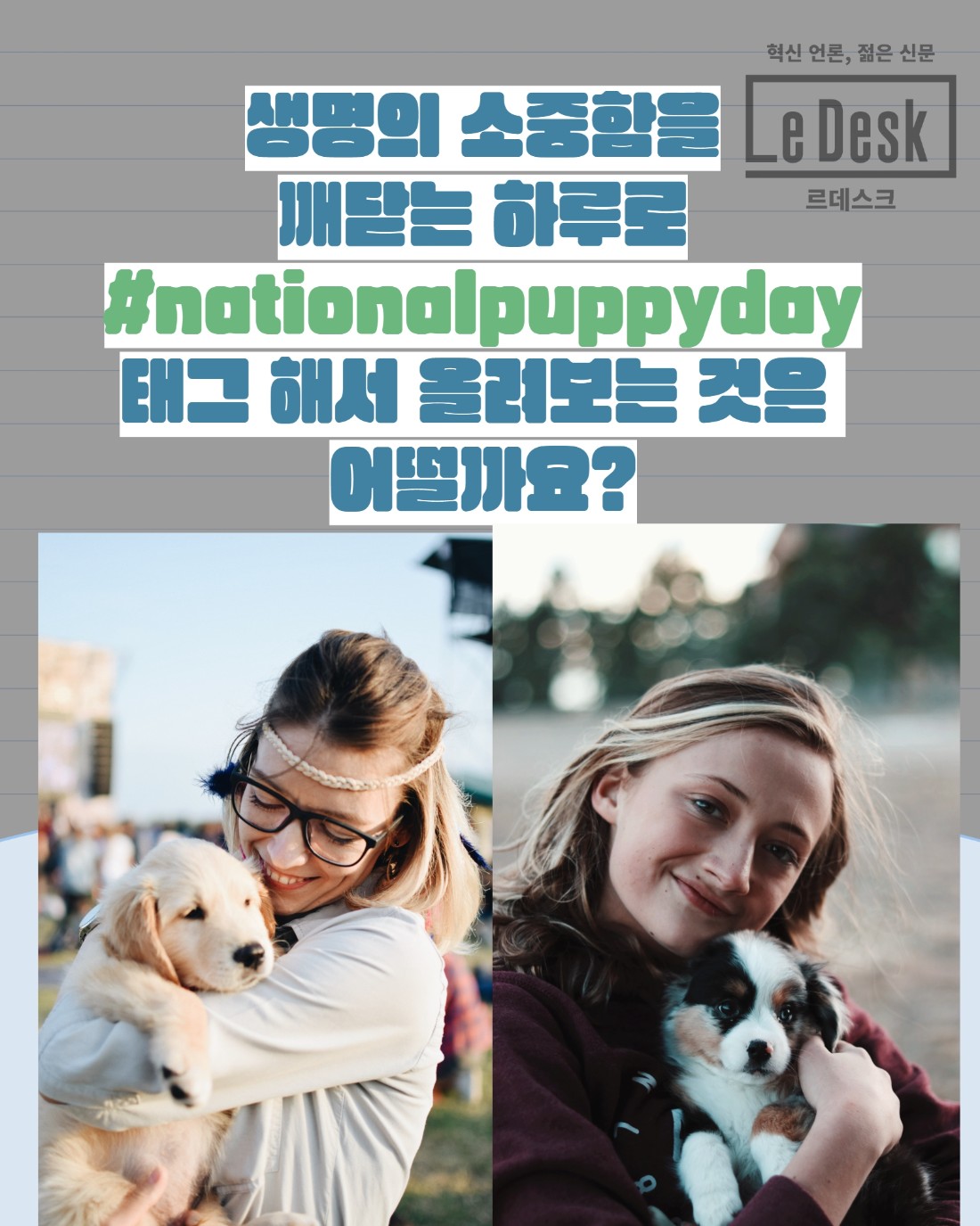[Le Visual]국제 강아지의 날을 아시나요?