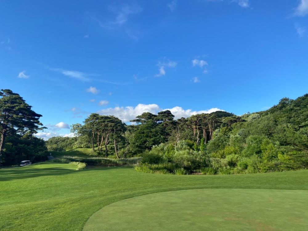 “골프치기 무섭네”…캐디피 17만원 시대, 소비자 불만 팽배 