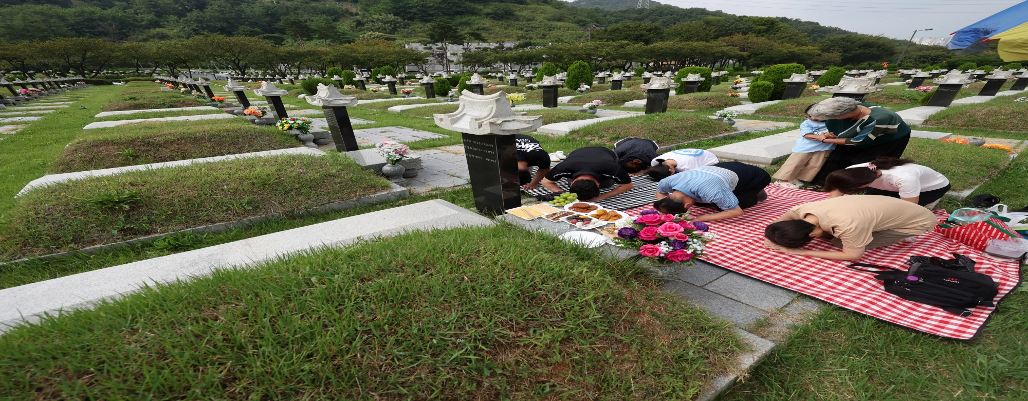 얘야 올해 명절은 안 와도 된다” 의료대란에 재등장한 ‘코로나 한가위’ 