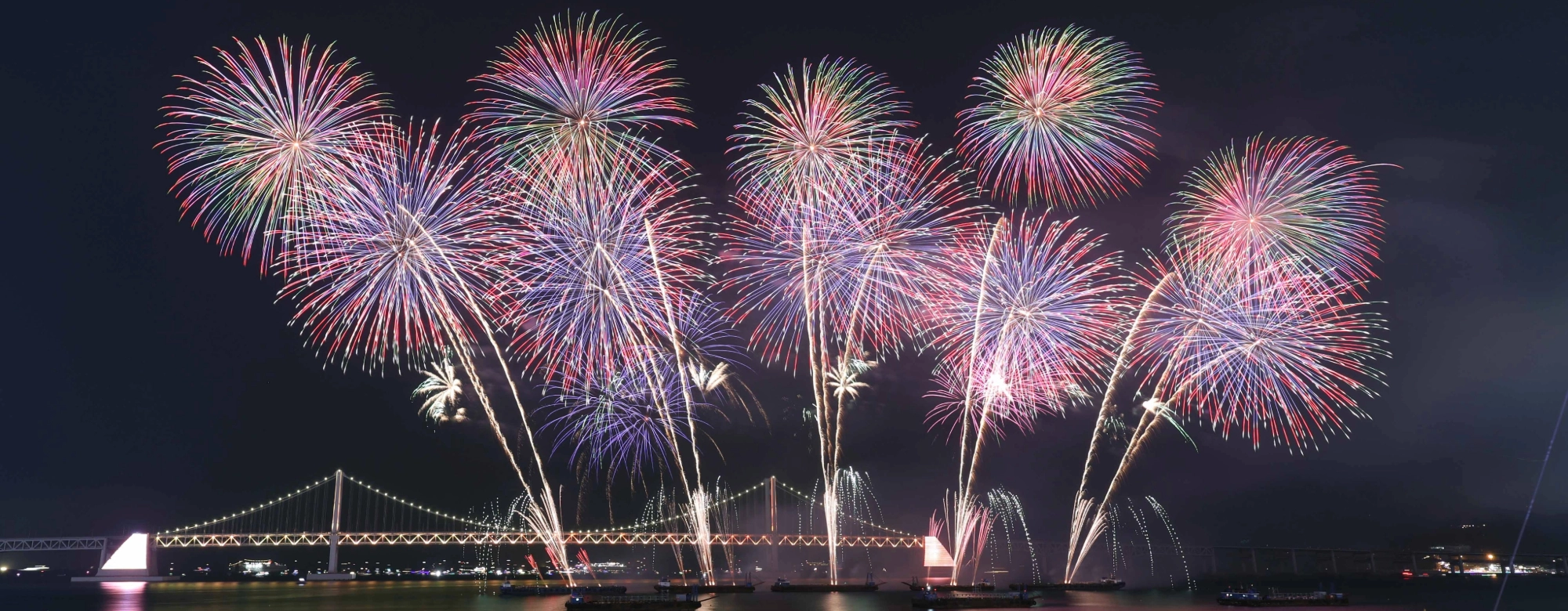 30만원 숙소가 197만원으로…축제 바가지·암표 근절대책 무색 