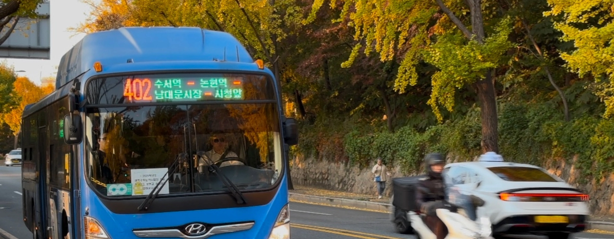 수능 끝 해방감 만끽하기 안성맞춤, 402버스 힐링 명소 눈길 