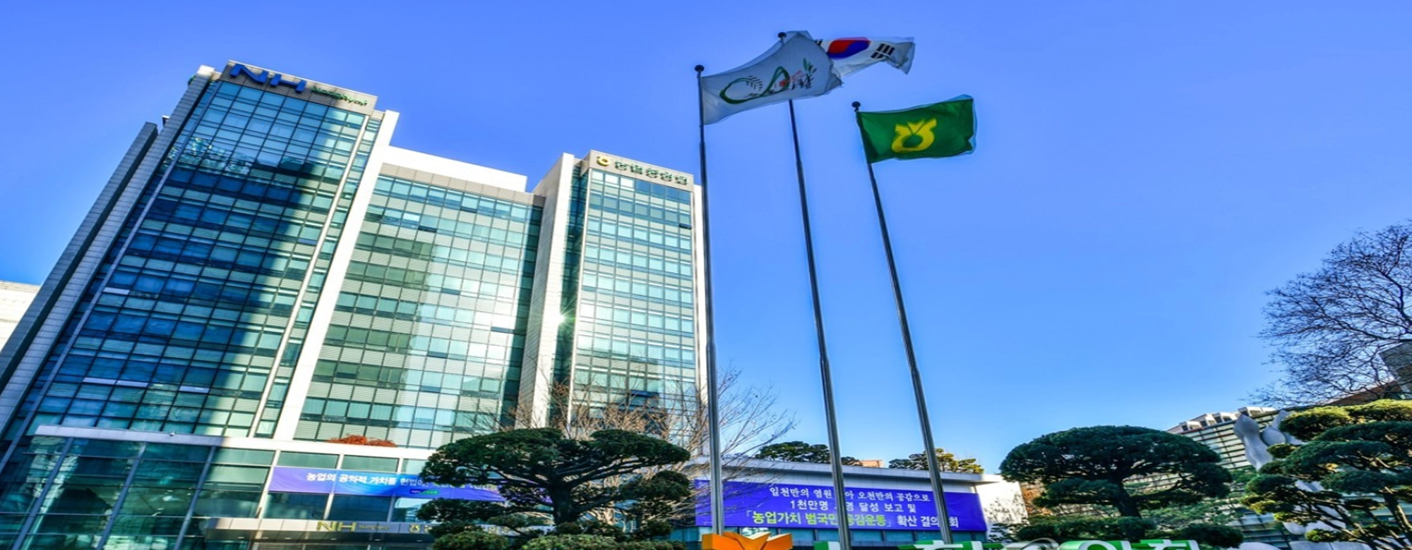 비리·사고 일상인 지역 농협…조합장 ‘고개 빳빳’ 중앙회장 ‘눈치 살살’ 