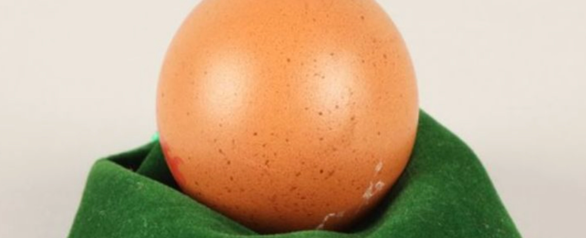 [뉴스원샷] 원가 1500배 낙찰! 36만원 계란 재테크 (with Lucky egg) 