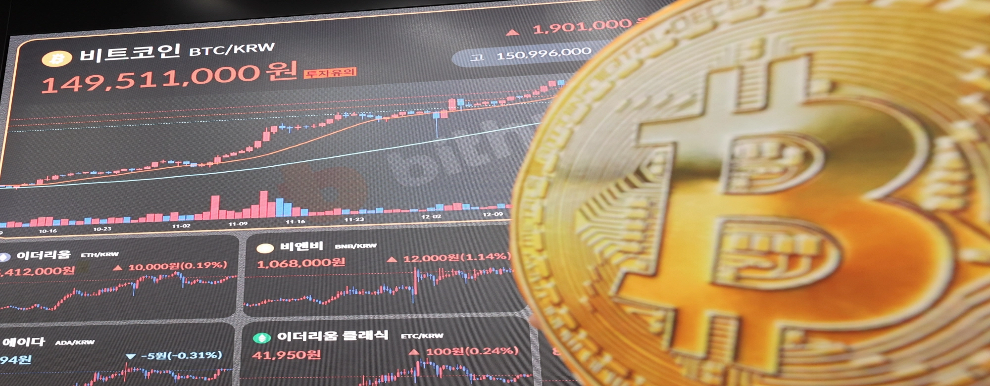 코인 후진국 한국의 민낯, 투자자 보호커녕 잘못되면 ‘네 책임’ 