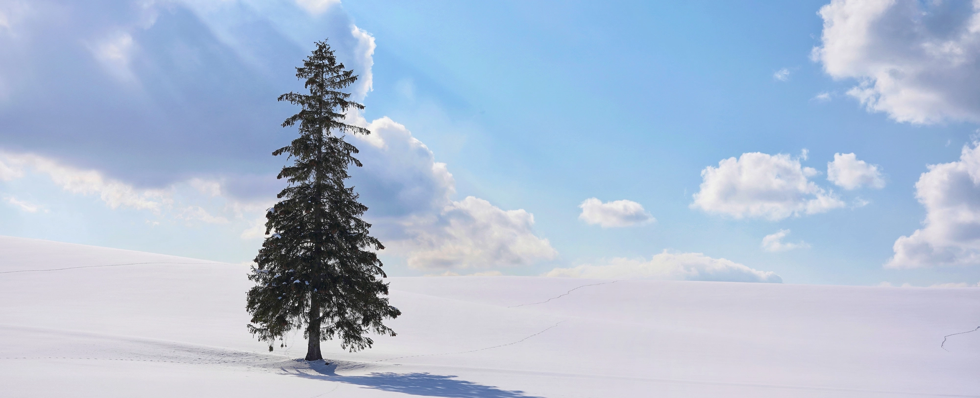 [글로벌토픽] 중국인들 난리난 240만원 일본 관광 상품의 정체! 