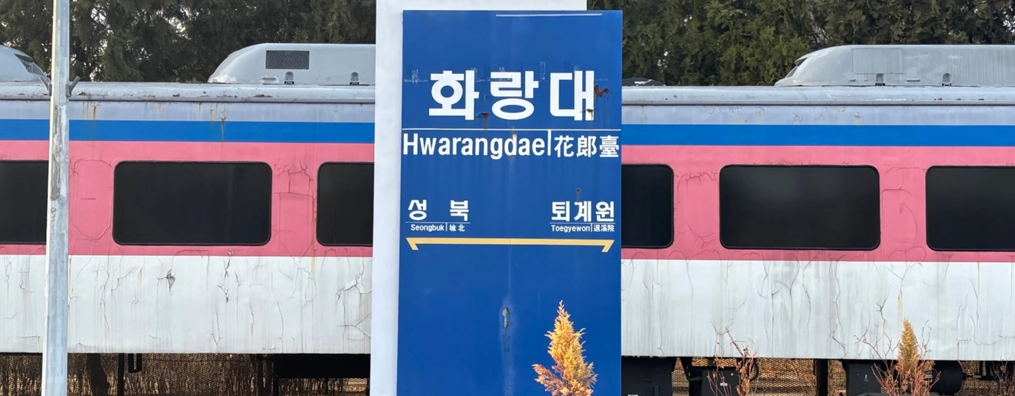 과기대엔 특별한 곳이 있다…옛 철길 속 숨겨진 명소 탐방 