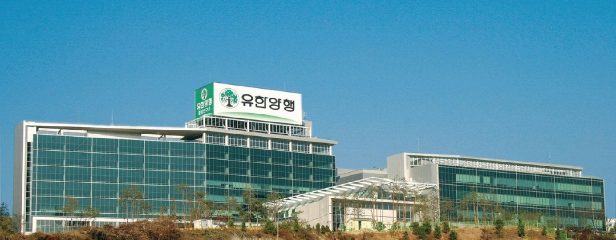 유한양행, 2분기 영업이익 456억원…항암제 ‘렉라자’ 효과 
