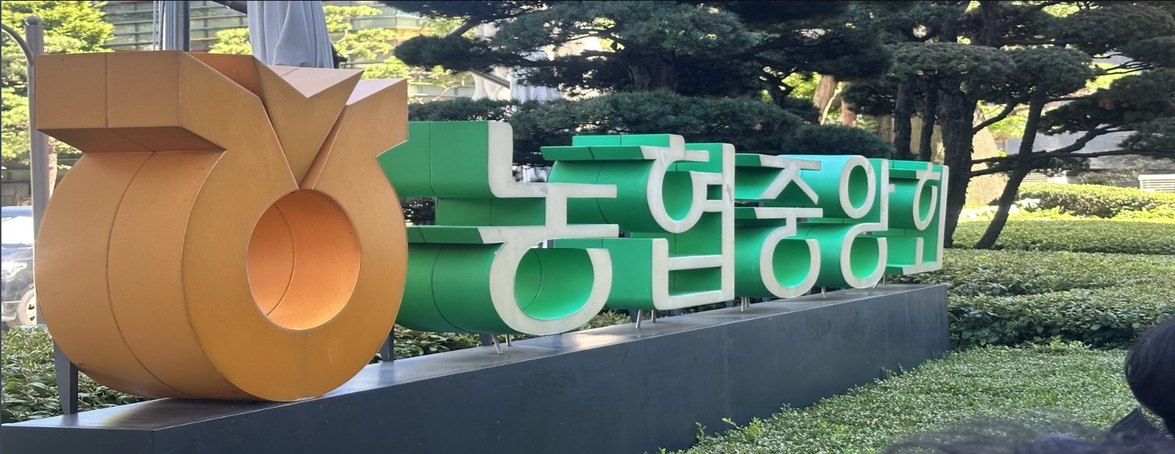 “임기? 의미 없다” 폭풍전야 농협, 생명·손보 CEO의 ‘위태로운 12월’ 