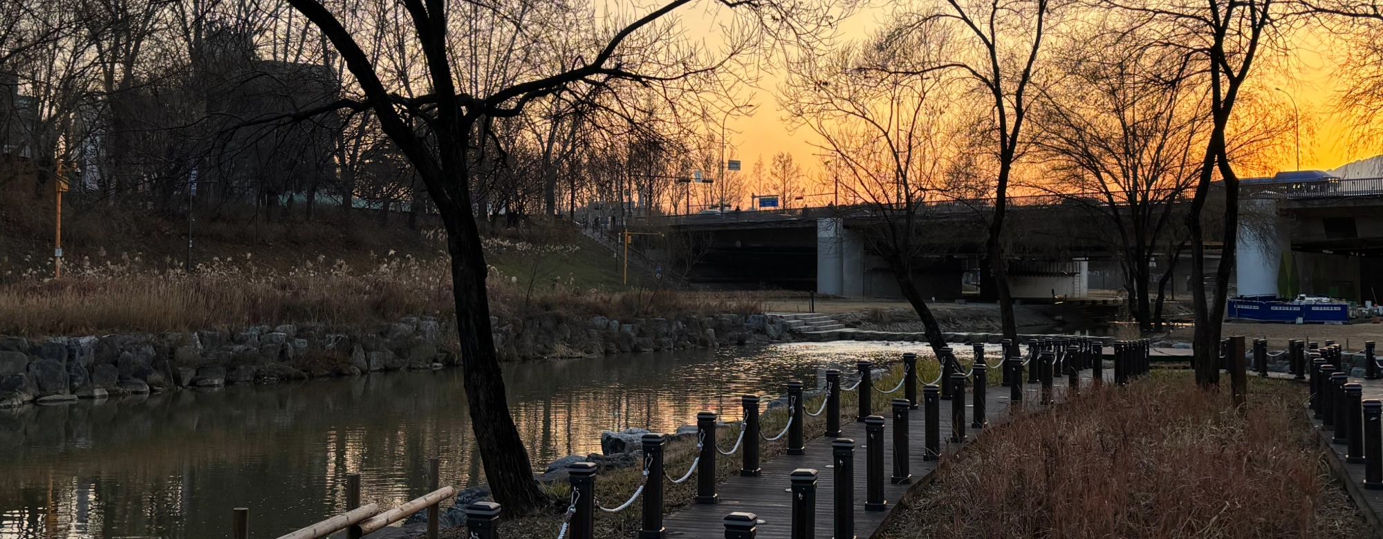 강남 옆인데 분위기 딴판…조용한데 특색있는 양재시민의숲 상권 