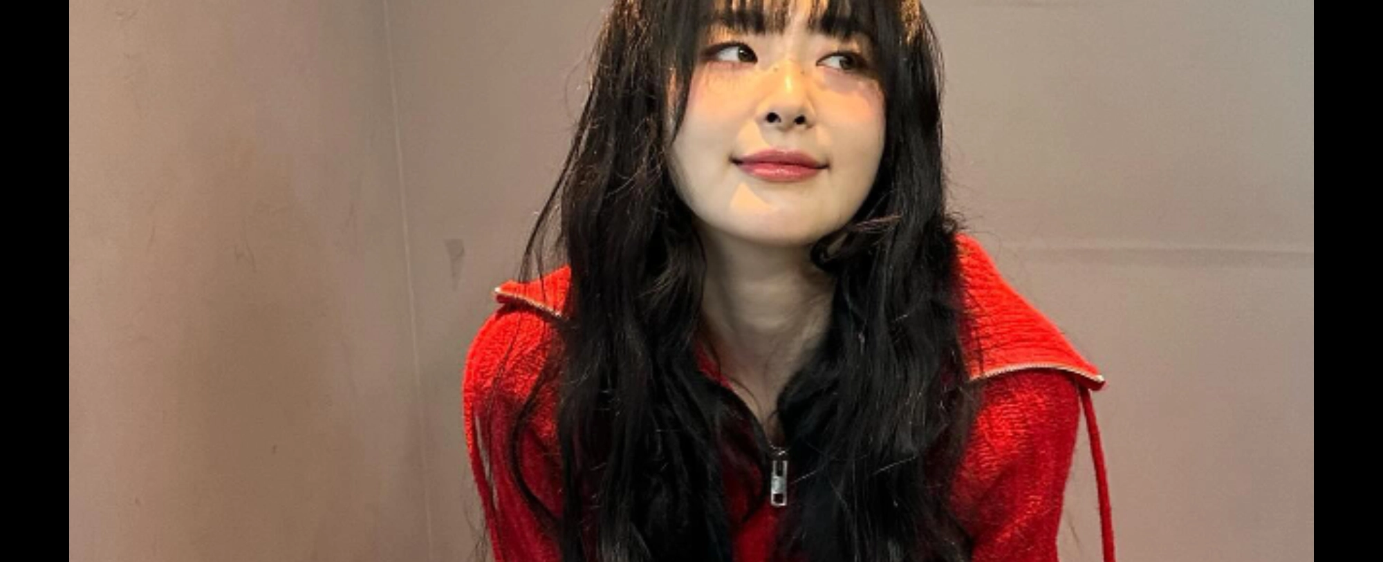 [셀럽에디션] 소녀시대·레드벨벳도 입었다…‘아재템’ 쿼터 집업의 반전 