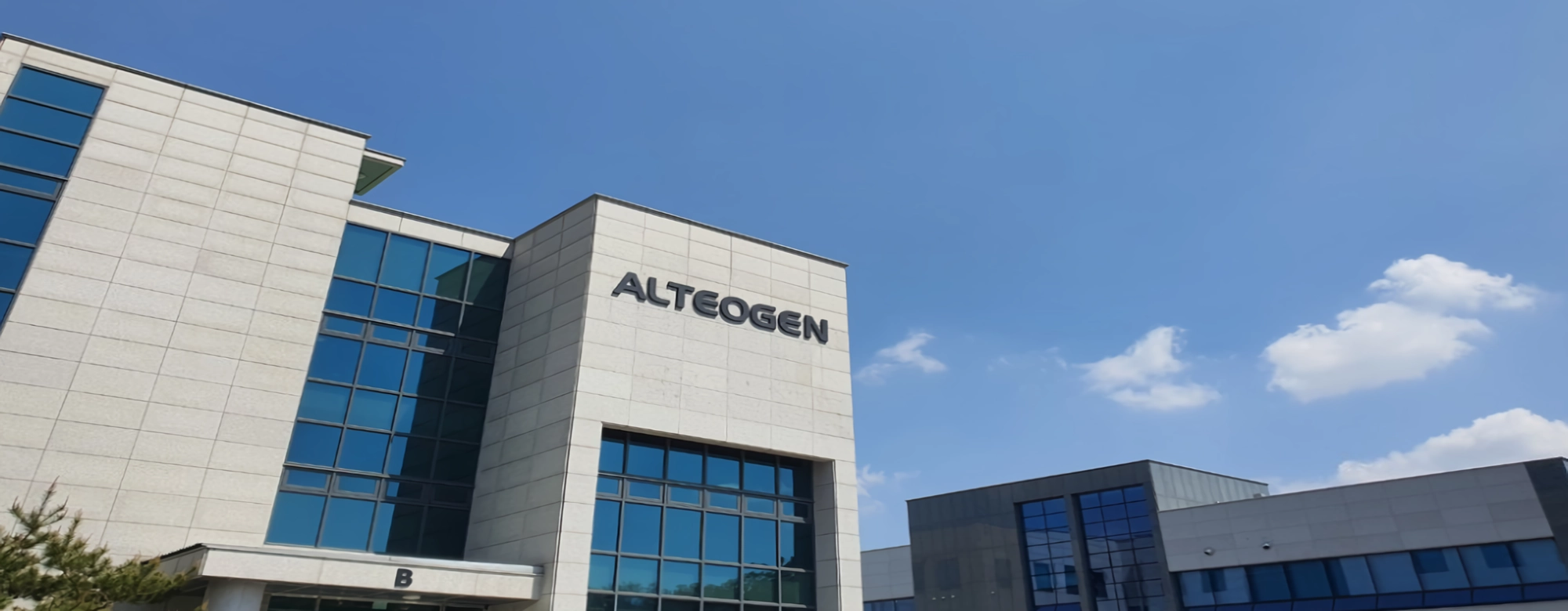 알테오젠, 다음주 빅딜 예고…장중 12% 급등 