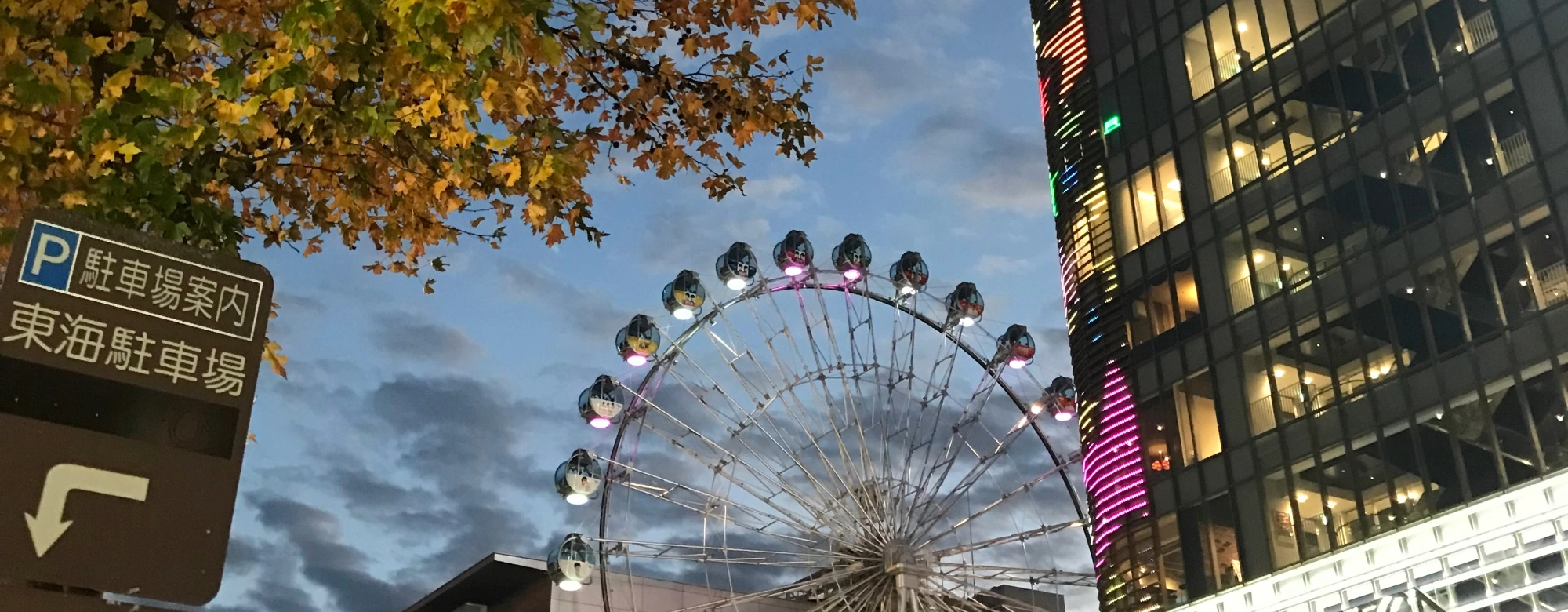 “사진은 옛 아이폰이 낫다”…10년 된 구형 아이폰 중고시장서 불티 