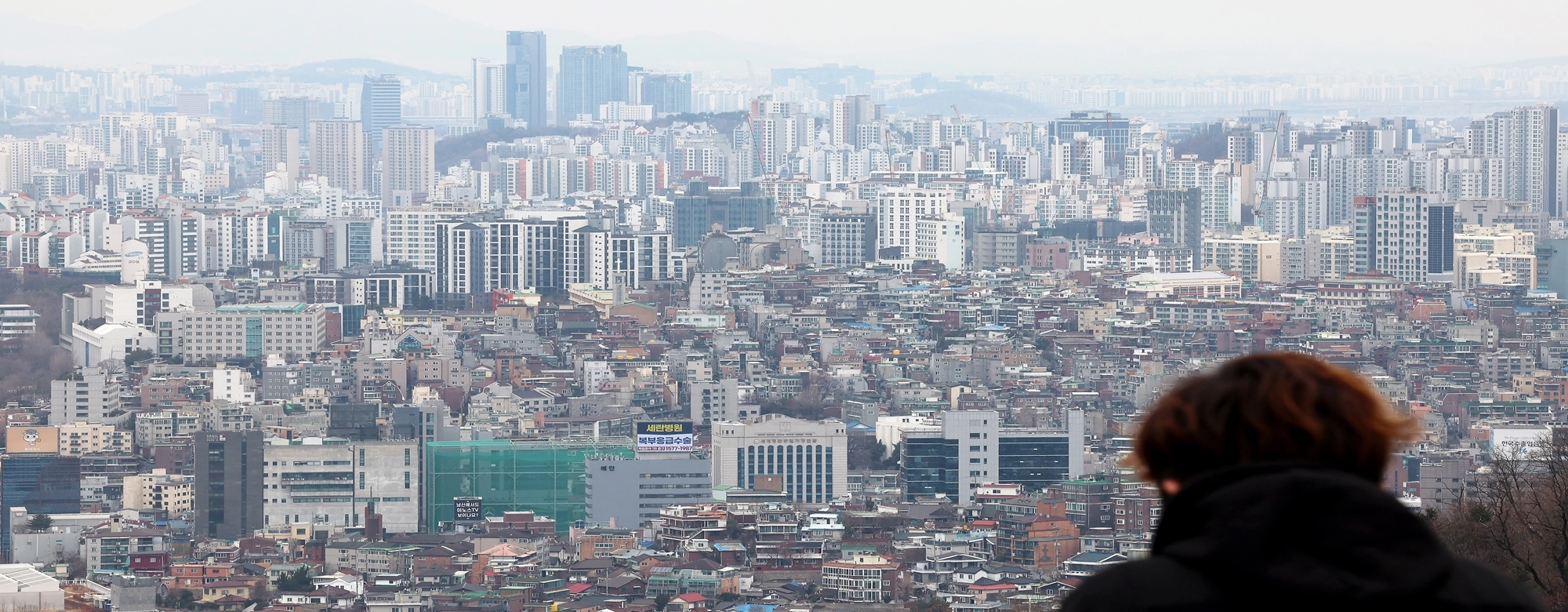 혼인신고 미루고 이혼까지 불사…부동산 공화국의 부끄러운 민낯
